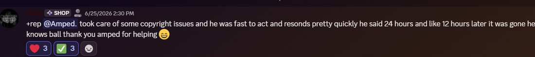 Discord vouch: said 24 hours, gone in 12